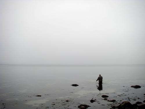 Wading Through Grey