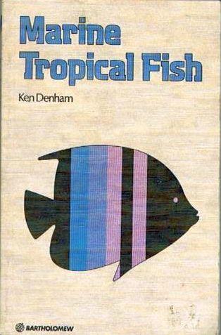Marine Tropical Fish