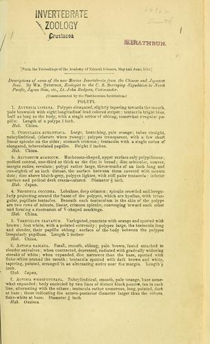 Descriptions of some of the new marine invertebrata from the Chinese and Japanese Seas