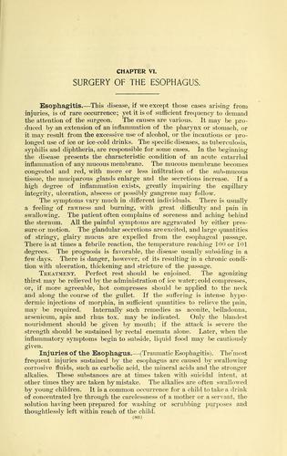 A homeopathic text-book of surgery