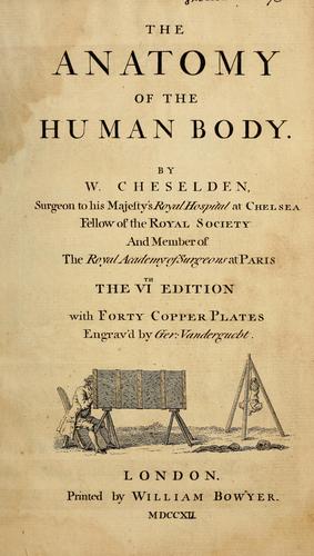 The anatomy of the human body