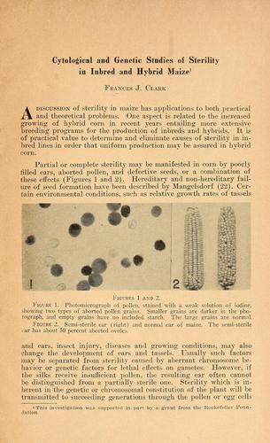 Cytological and genetic studies of sterility in inbred and hybrid maize