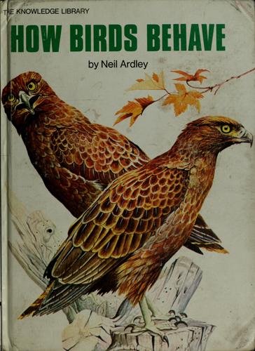 How birds behave