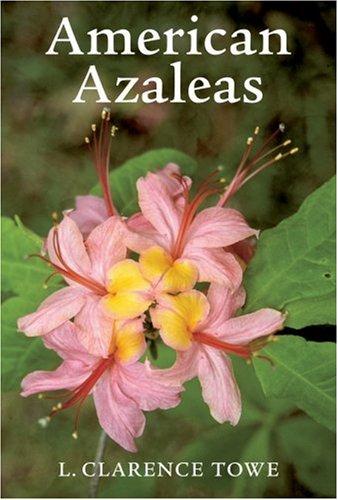 American Azaleas