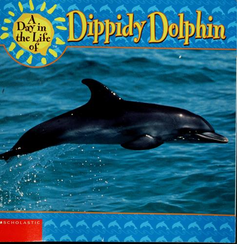 Dippidy dolphin