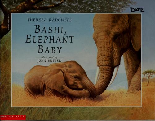 Bashi, elephant baby