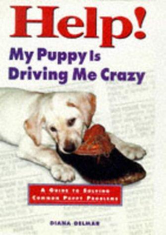 Help! my puppy is driving me crazy