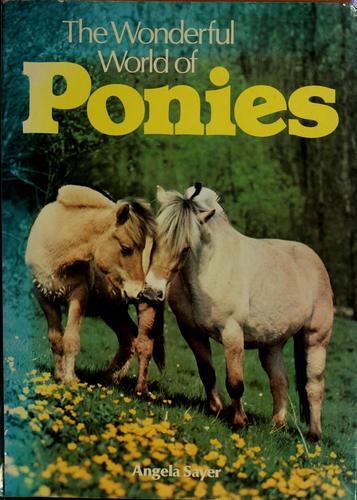 The wonderful world of ponies
