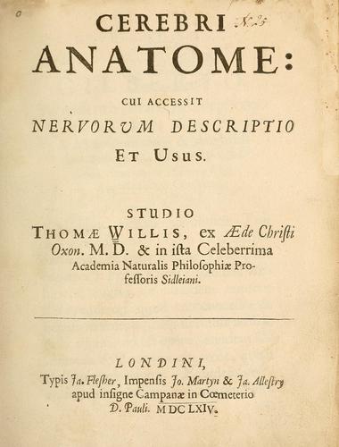 Cerebri anatome