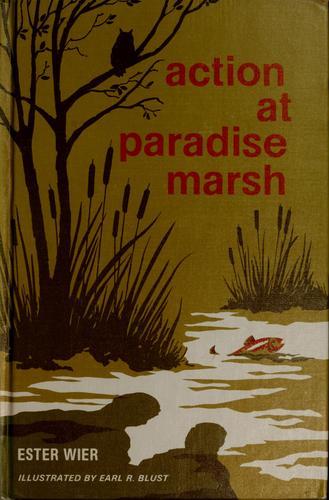 Action at Paradise Marsh