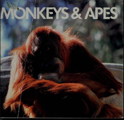 Monkeys & apes