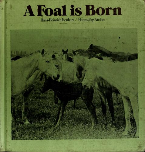 A foal is born
