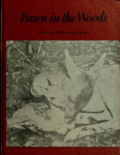 Fawn in the woods