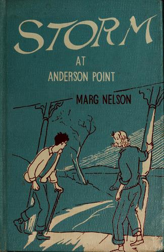 Storm at Anderson Point