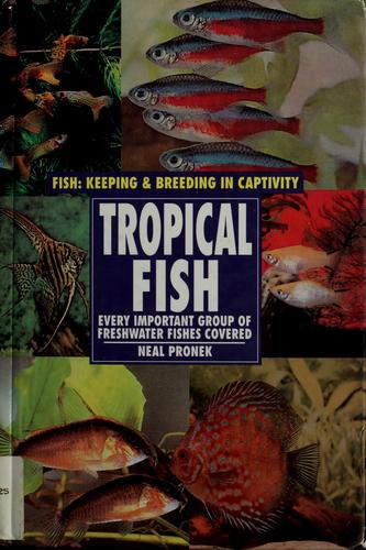 Tropical fish