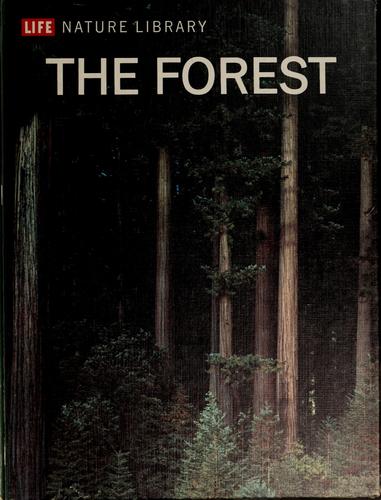 The forest