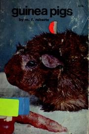 Guinea pigs