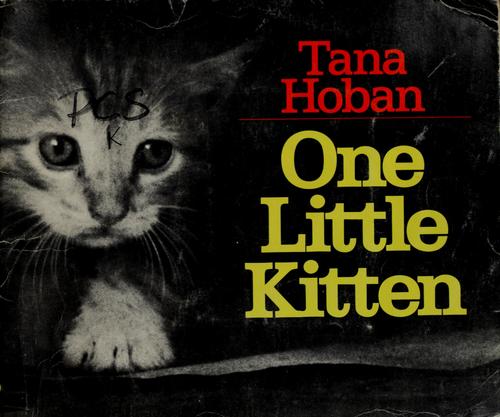 One little kitten