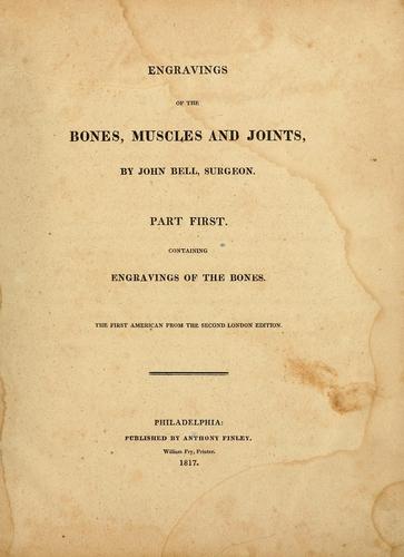 Engravings of the bones, muscles and joints