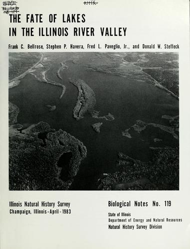 The fate of lakes in the Illinois River valley