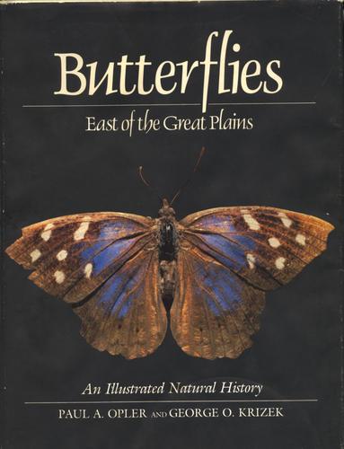 Butterflies east of the Great Plains