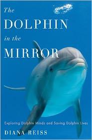 The dolphin in the mirror