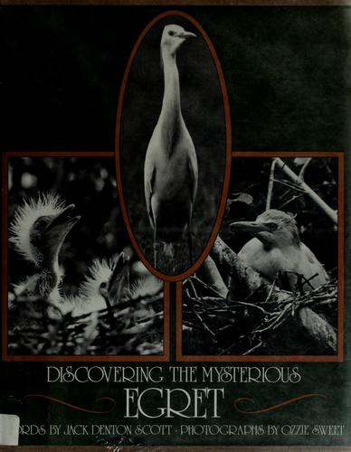 Discovering the mysterious egret