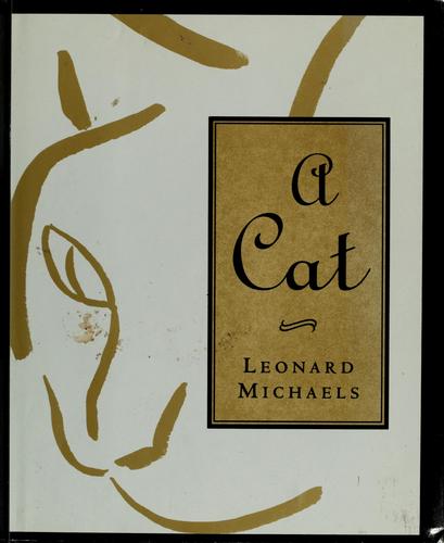 A cat