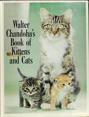 Walter Chandoha's book of kittens and cats
