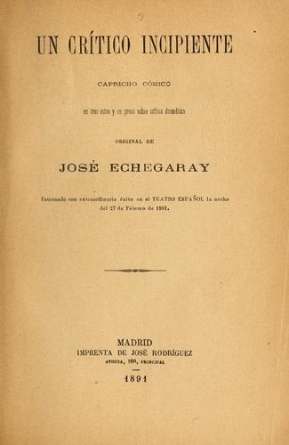 Un crítico incipiente