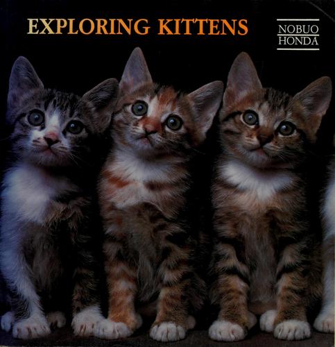 Exploring kittens