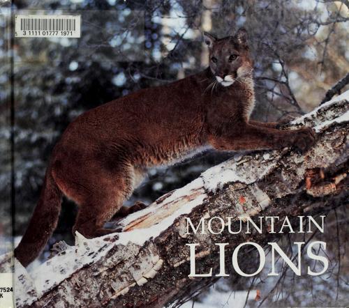 Mountain lions