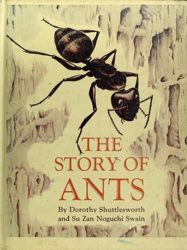 The story of ants