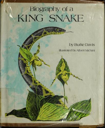 Biography of a king snake