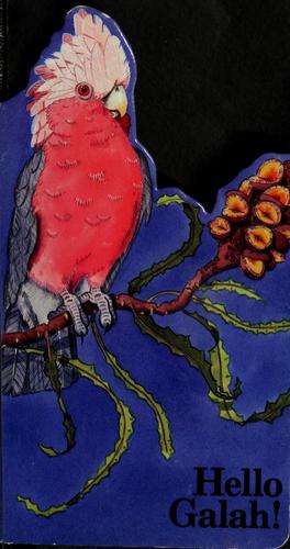 Hello Galah!
