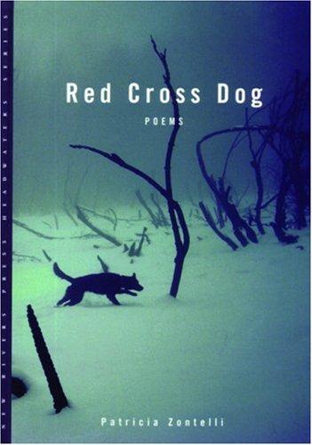 Red Cross dog