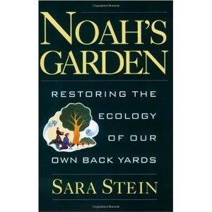 Noah's garden