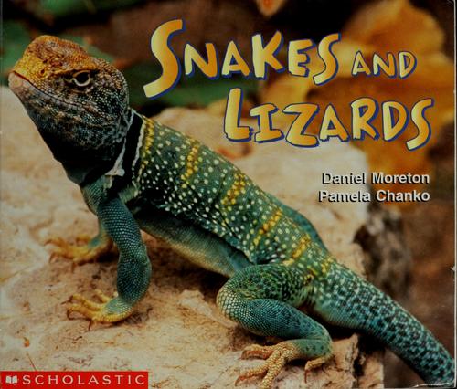 Snakes and lizards