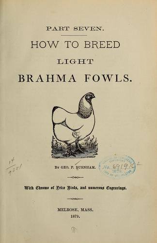 How to breed light brahma fowls