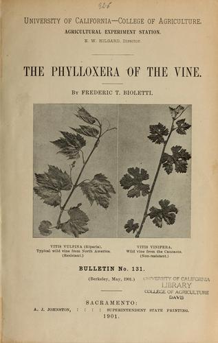 The phylloxera of the vine