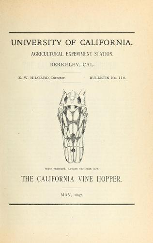 The California vine hopper