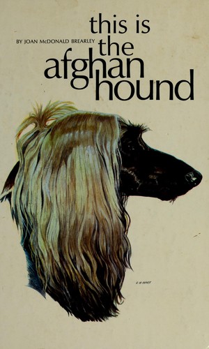 This is the Afghan hound