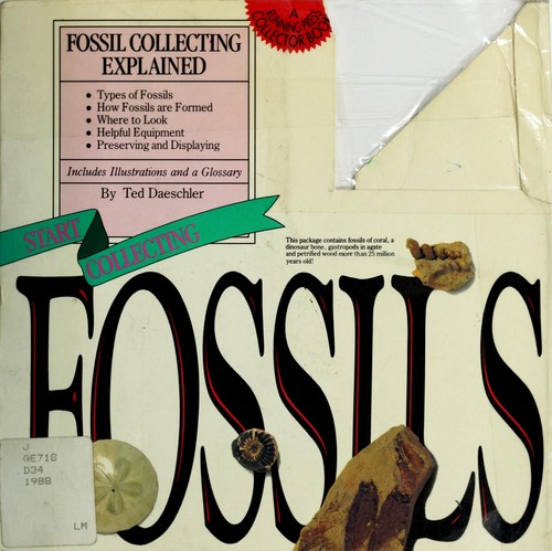 Start collecting fossils