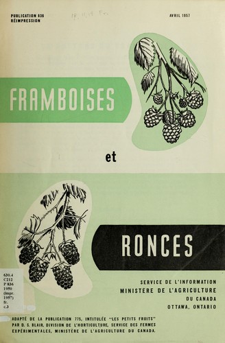 Framboises et ronces
