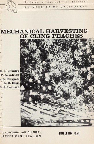 Mechanical harvesting of cling peaches