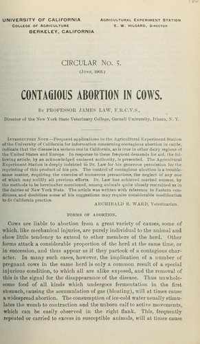 Contagious abortion in cows
