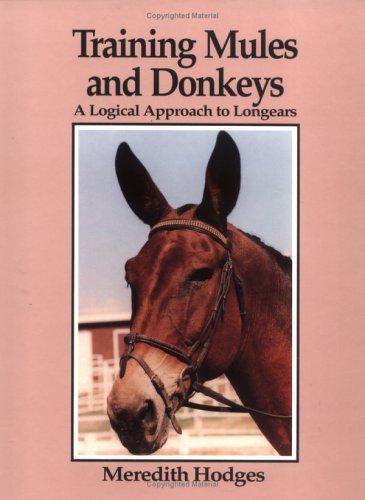 Equine Management and Donkey Training