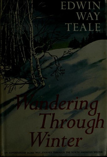 Wandering Through Winter