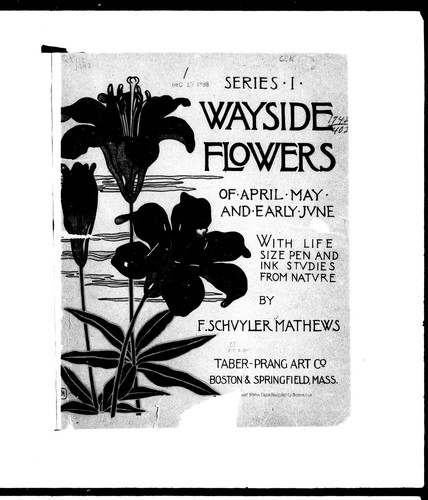 Wayside flowers