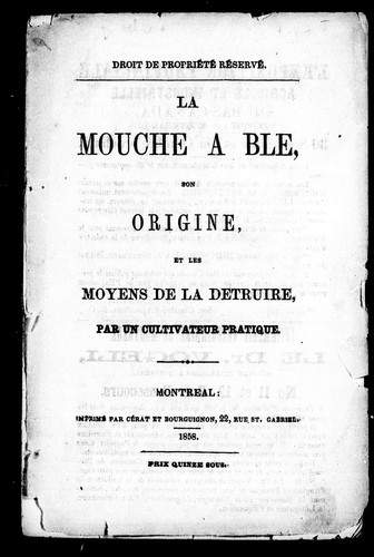 La mouche à blé, son origine et les m oyens de la détruire